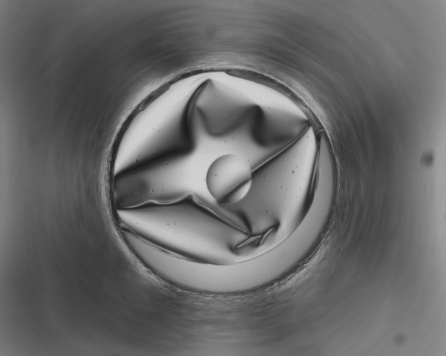 X0000116810901201001081353