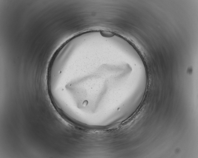 X0000116810902201001081353