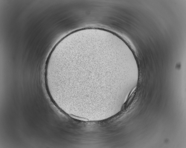 X0000116810903201001081353