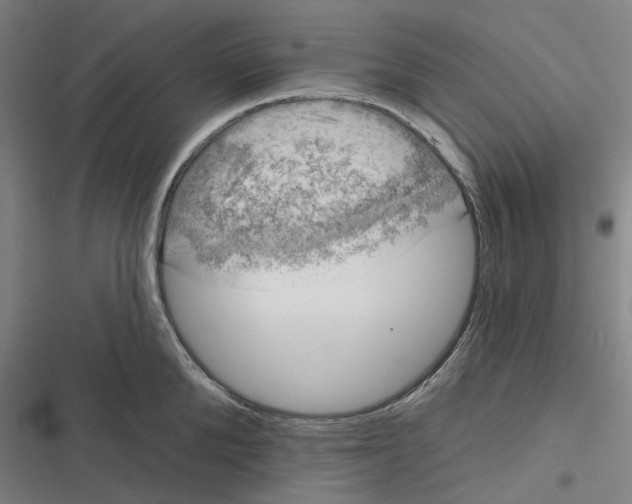 X0000116810904201001081353