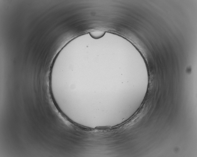 X0000116810906201001081353