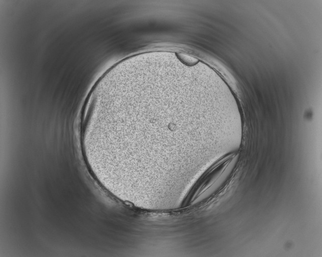 X0000116810907201001081353