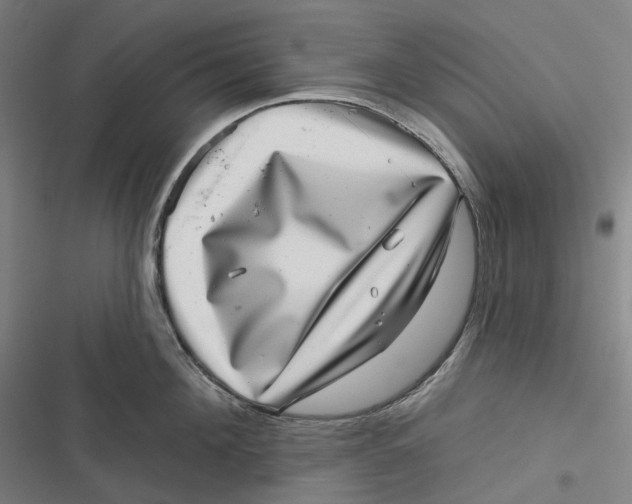 X0000116810908201001081353