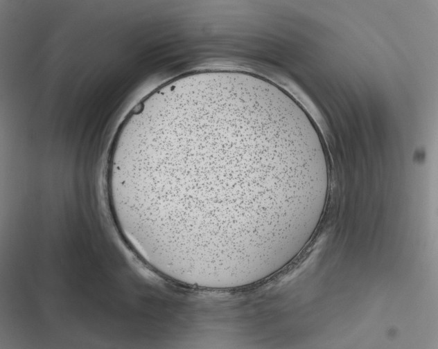 X0000116810909201001081353