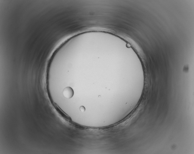 X0000116810910201001081353