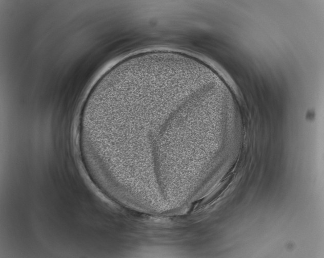 X0000116810911201001081353