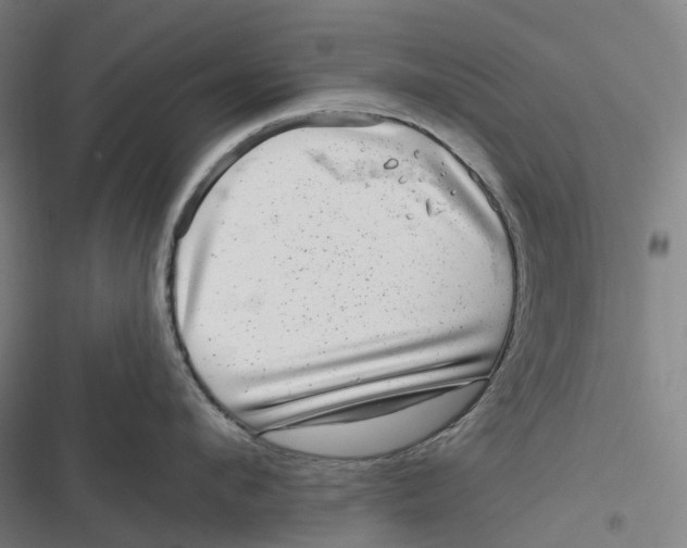 X0000116810912201001081353