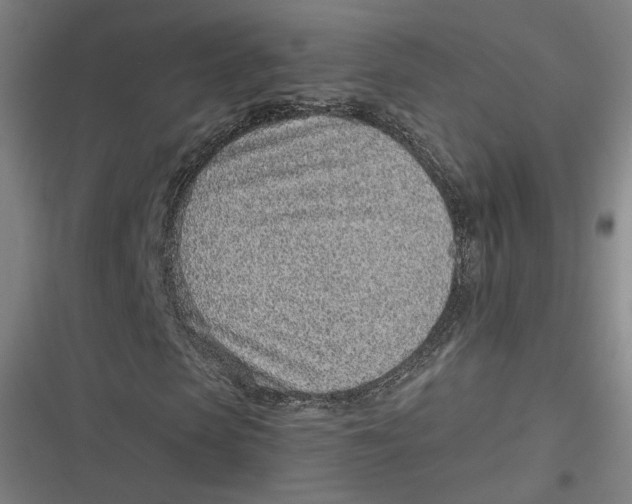 X0000116810913201001081352