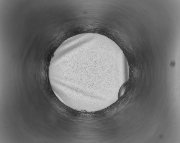 X0000116810914201001081352