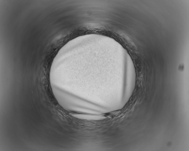 X0000116810917201001081352