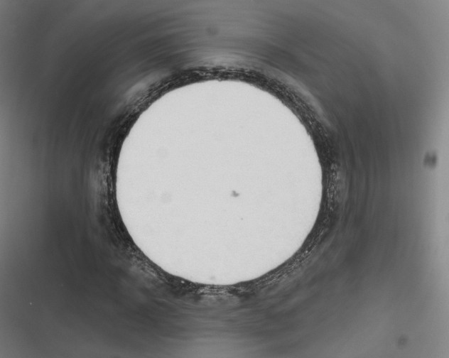 X0000116810918201001081352