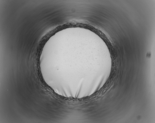 X0000116810919201001081352