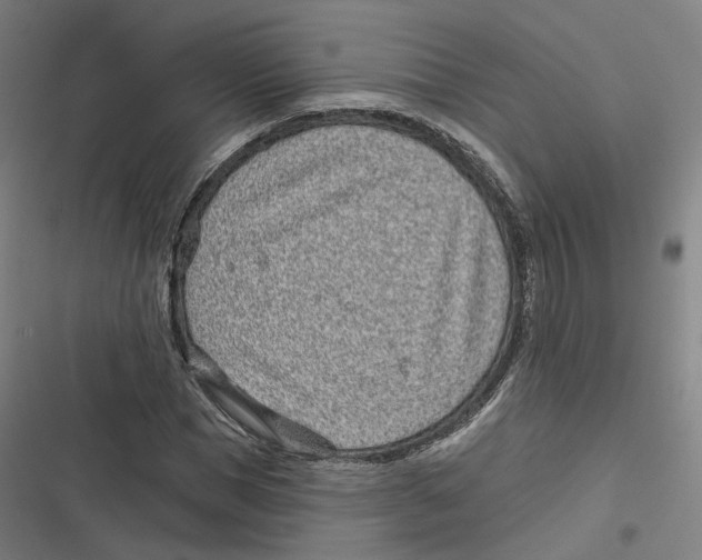 X0000116810921201001081352