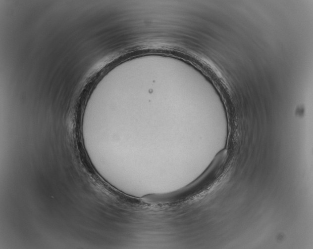 X0000116810922201001081352