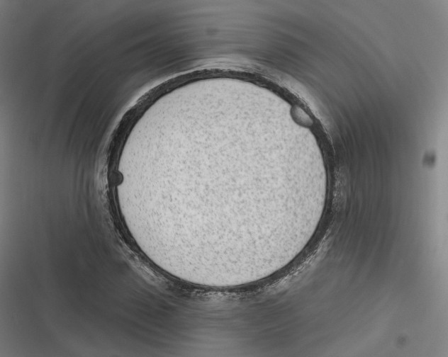 X0000116810923201001081352