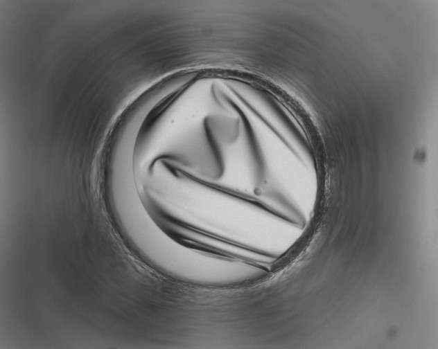 X0000116810925201001081352