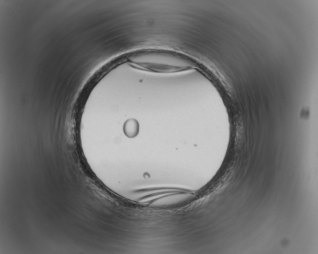 X0000116810926201001081352