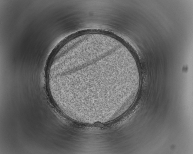 X0000116810927201001081352