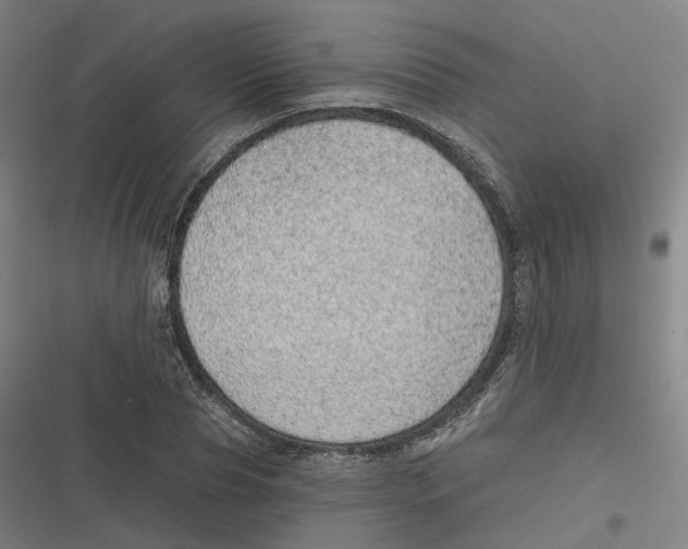 X0000116810929201001081352