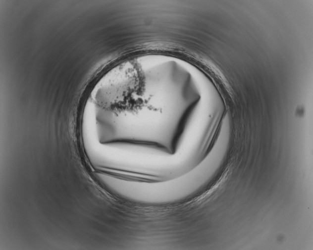 X0000116810930201001081352