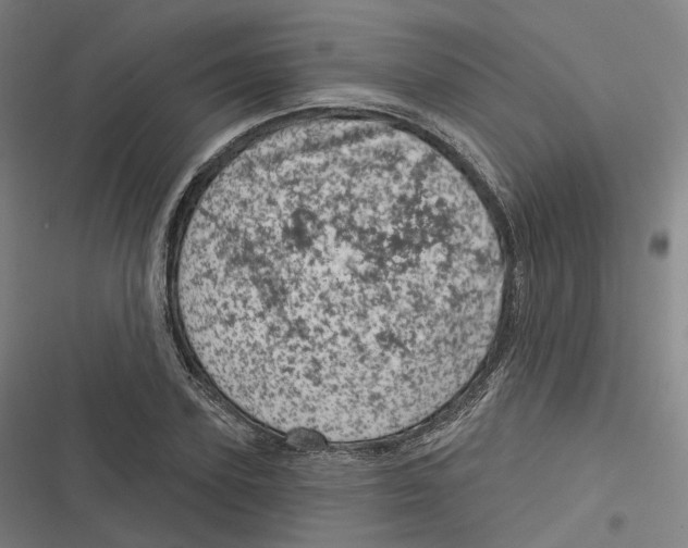 X0000116810931201001081352