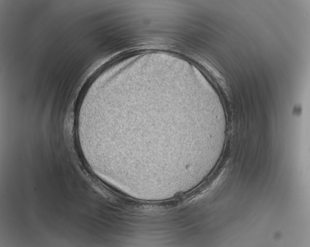 X0000116810933201001081352