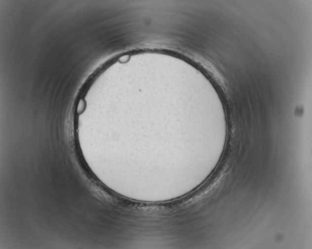 X0000116810934201001081352