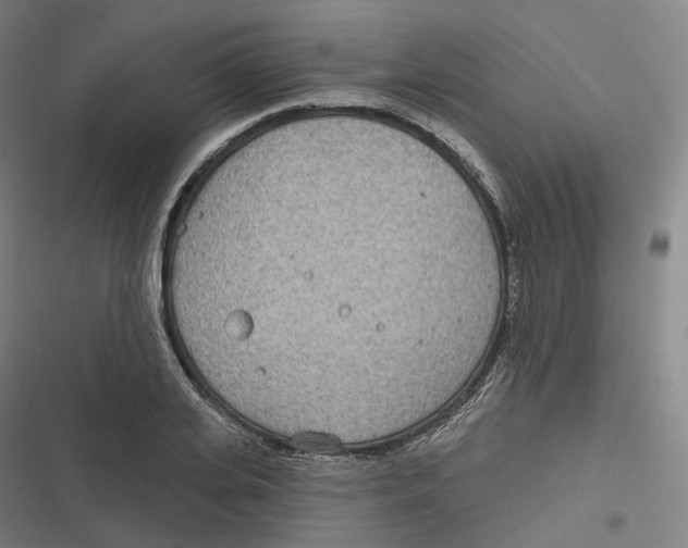 X0000116810935201001081352