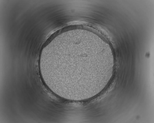 X0000116810937201001081352