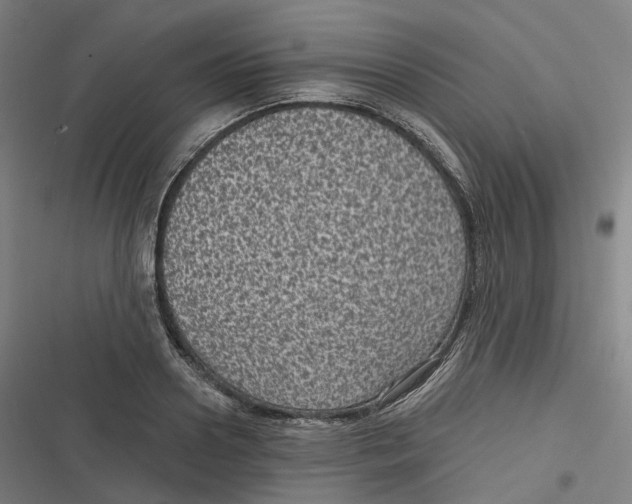 X0000116810938201001081352