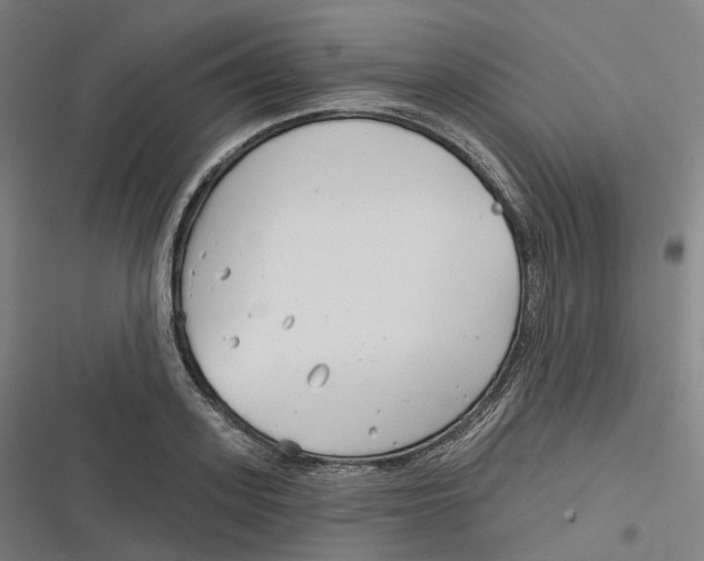 X0000116810939201001081352