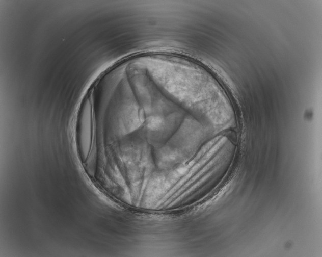 X0000116810941201001081352