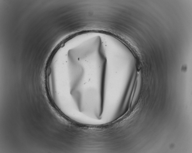 X0000116810942201001081352