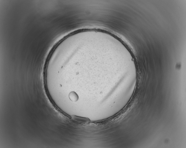 X0000116810943201001081352