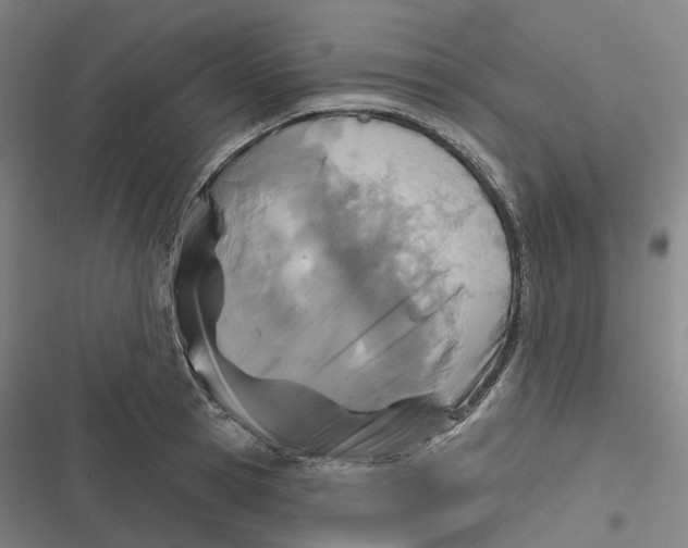 X0000116810945201001081352