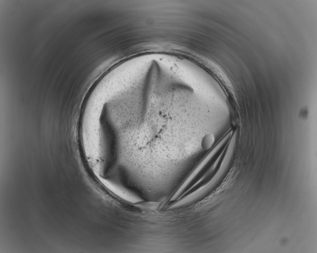 X0000116810946201001081352