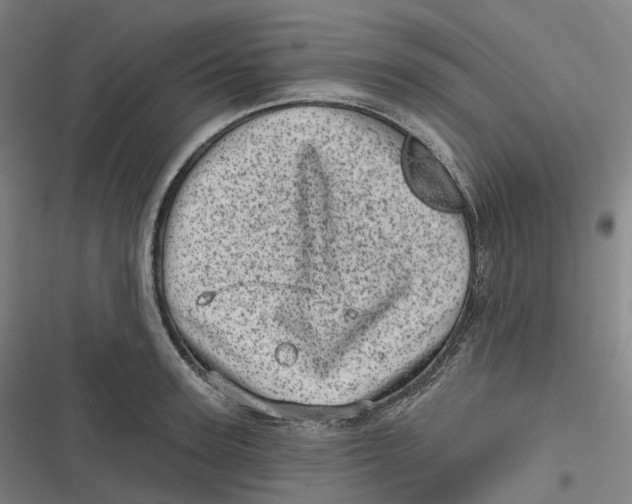 X0000116810947201001081352