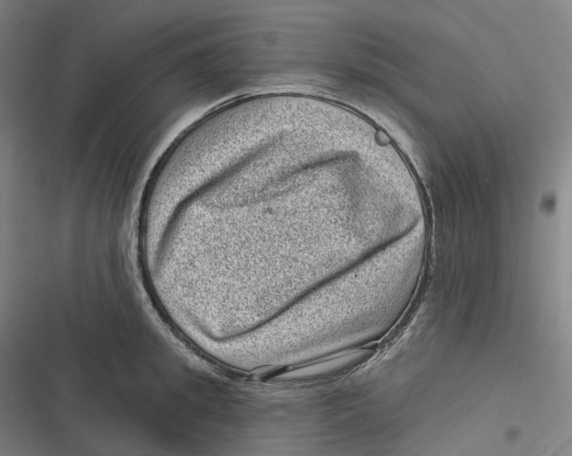 X0000116810949201001081352