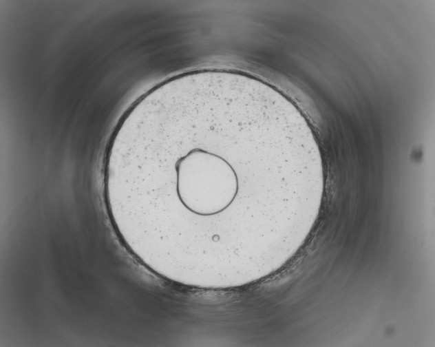 X0000116810950201001081352