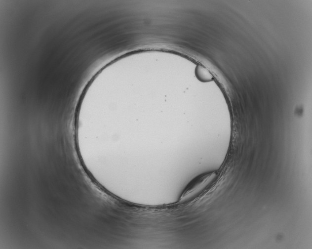 X0000116810951201001081352