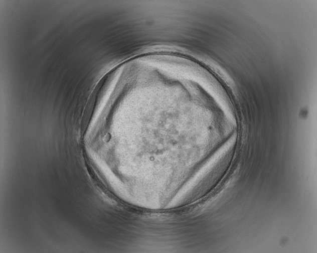 X0000116810953201001081352