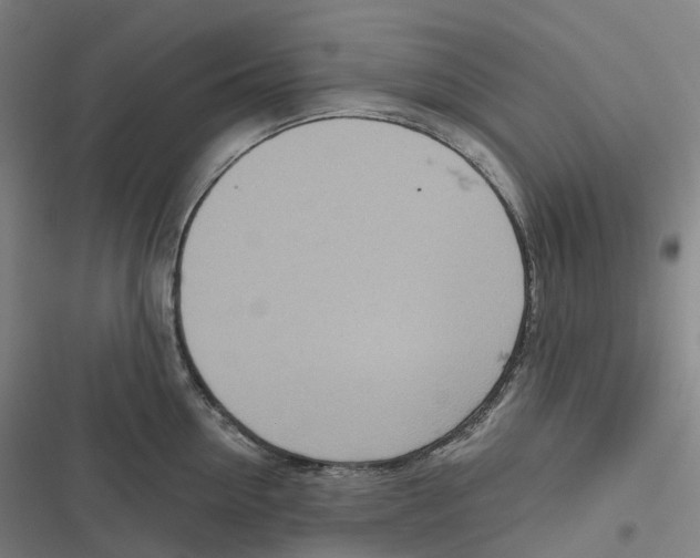 X0000116810954201001081352