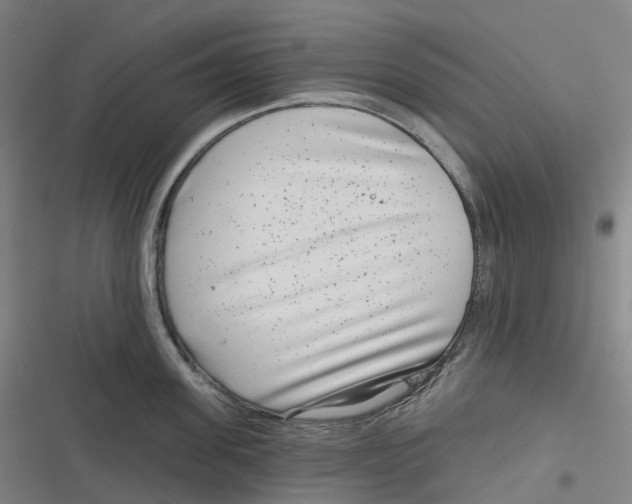 X0000116810955201001081352