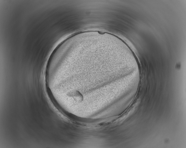 X0000116810957201001081352