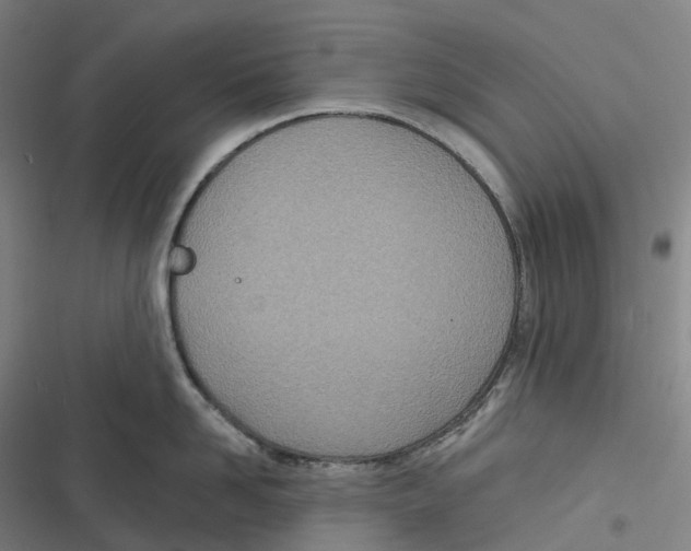 X0000116810958201001081352