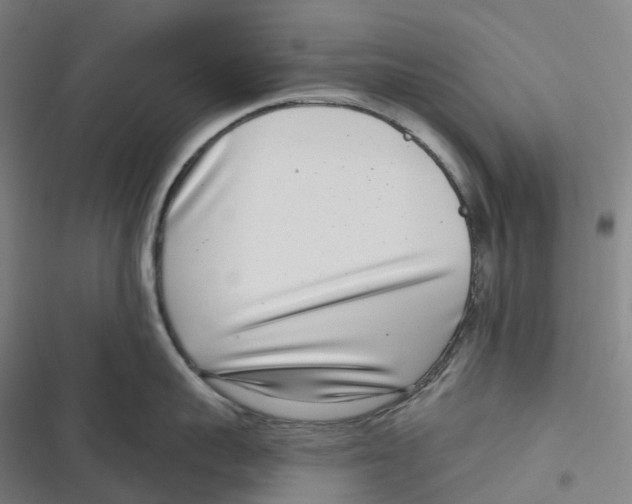 X0000116810959201001081352