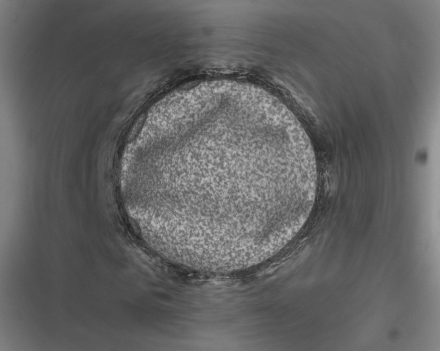 X0000116810961201001081352