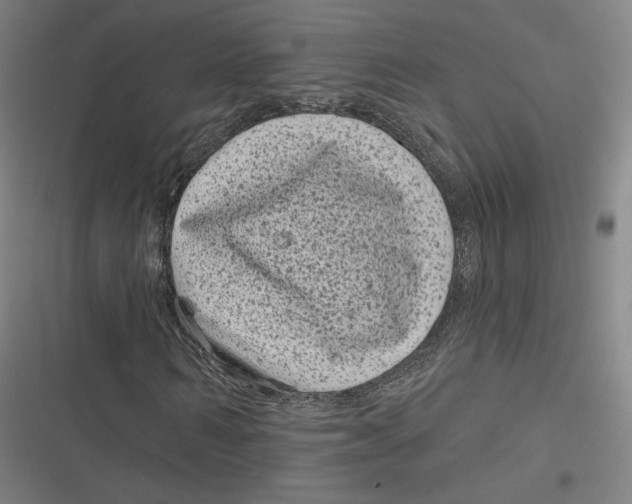 X0000116810962201001081352