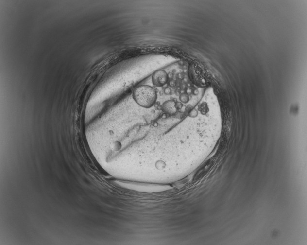 X0000116810964201001081352