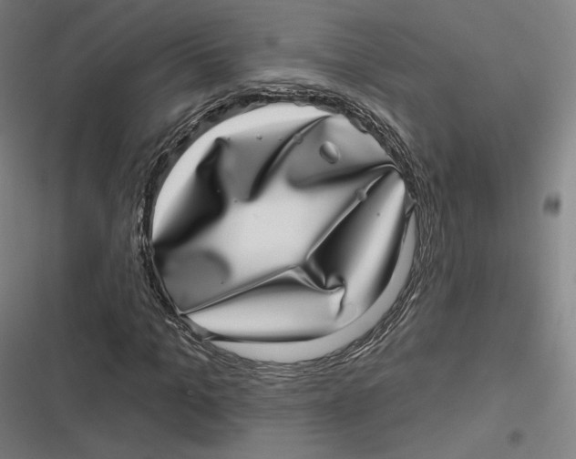 X0000116810965201001081352